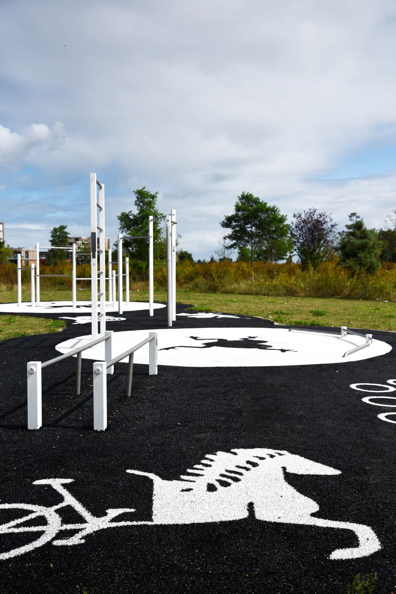 bartendaz buitenfitnesspark