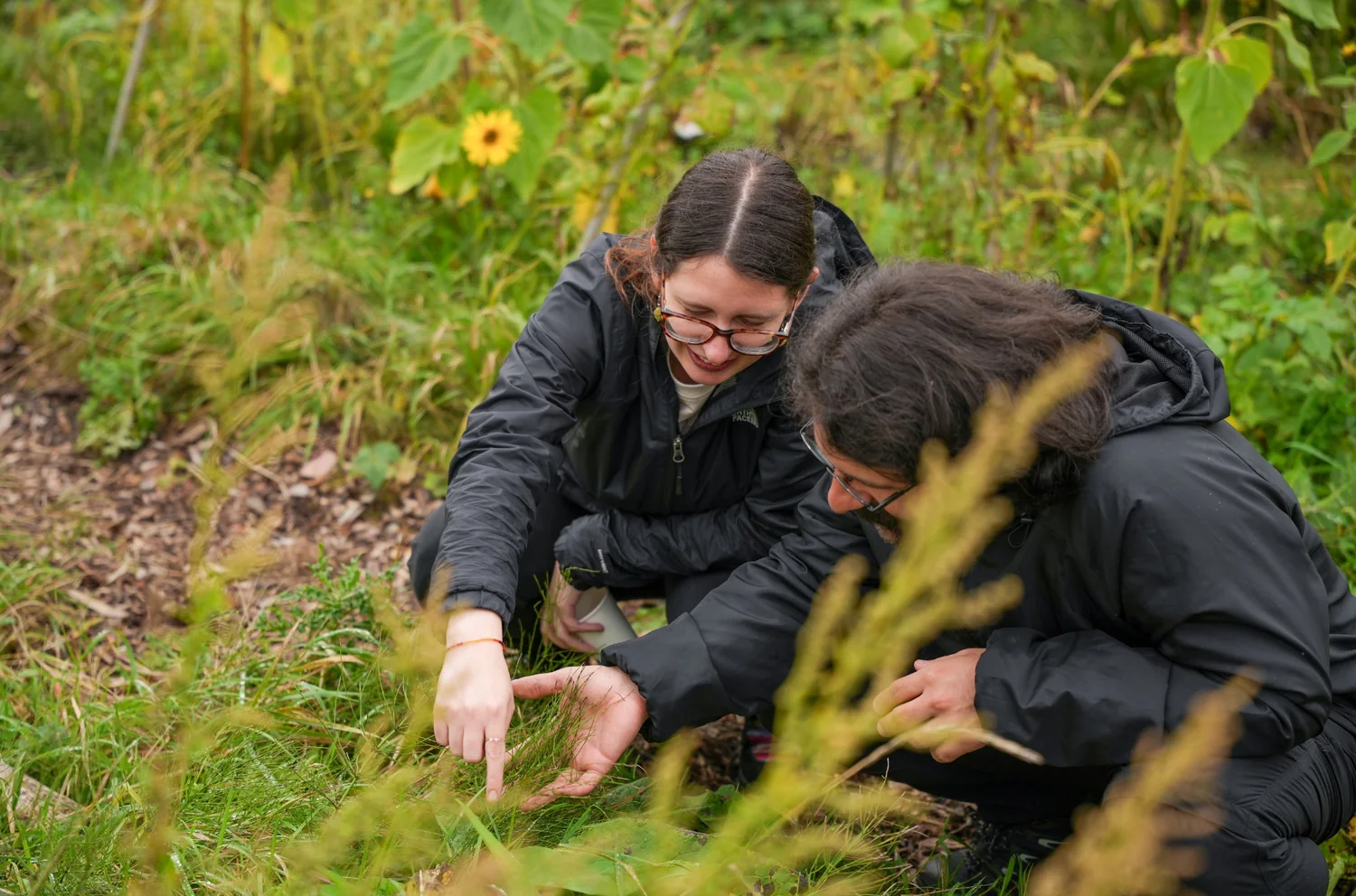 NatureLab — aanvullend beeld 1